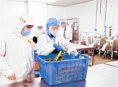 天津确保校园食品安全 监管先行，教育软件赋能